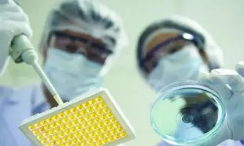 北京经开区 从仿制到创新，生物医药产业的技术开发如何擦亮“创新底色”