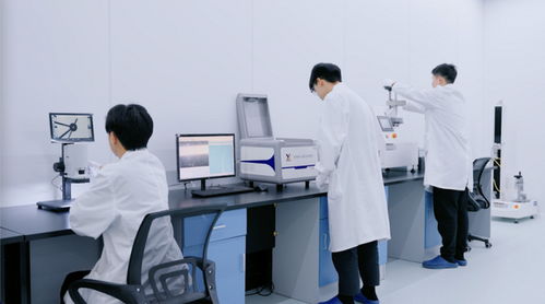 中溯以技术为引擎，15项软著夯实数智化服务根基